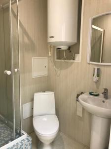 克拉斯诺戈尔斯克Hostel Star Myakinino的一间带卫生间和水槽的浴室