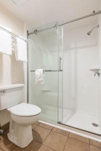 蓬塔戈尔达Baymont by Wyndham Punta Gorda/Port Charlotte的一间带卫生间和玻璃淋浴间的浴室