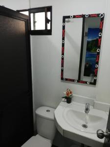 麦德林APARTA ESTUDIO 7051的一间带卫生间、水槽和镜子的浴室