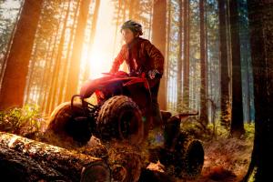 Miki神户雀巢度假酒店的在一个森林里骑拖拉机的男孩