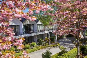 皇后镇Nugget Point Hotel的一排种有粉红色樱桃树的房屋