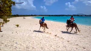 Blowing Point VillageWhite Sands Anguilla - Sea的相册照片