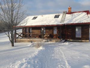 VildogaKauzeri - home while away from home的小木屋,设有雪盖屋顶