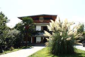 克瓦雷利Isev Kvareli的前面有棕榈树的房子