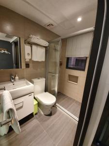 台中市绿夜文旅的带淋浴、卫生间和盥洗盆的浴室