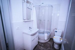 Tîrgu FrumosHOTEL GLARIS的浴室配有卫生间、盥洗盆和淋浴。