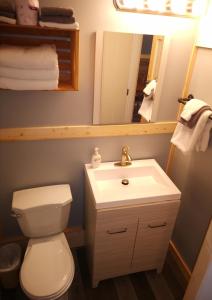 克利尔沃特Overlook Inn & Cabins的一间带卫生间、水槽和镜子的浴室