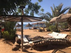 努韦巴Nakhil Inn Nuweiba的沙滩上带椅子和遮阳伞的海滩
