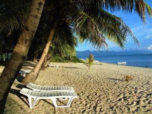 潘丹费顿海滩度假村的棕榈树海滩上的白色长椅