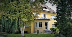 施科伊迪茨Villa Romahn的前面有一棵树的黄色房子
