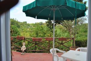 伊斯基亚Villa Raffaela B&B的天井顶部的绿色遮阳伞