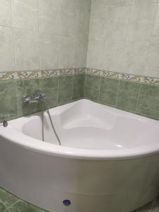 斯科列Садиба у Богдана的浴室设有浴缸和水龙头