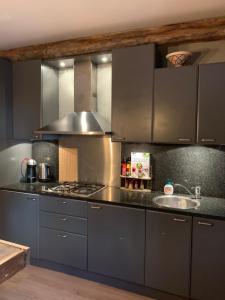 SpaubeekWieler Wellness Huuske的厨房配有不锈钢橱柜和水槽