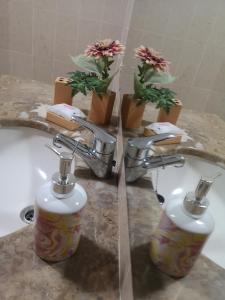波尔图Architect House的浴室设有两面水龙头和花卉水槽
