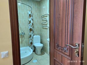 希瓦Boran的一间带卫生间和淋浴的浴室