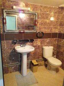 廷吉尔Bio Palace Hotel的一间带卫生间、水槽和镜子的浴室
