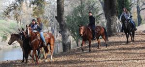 坦普尔顿Z Ranch的一群人骑着马在河边