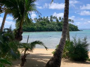 拉罗汤加Taakoka Muri Beach Villa的棕榈树海滩和海洋
