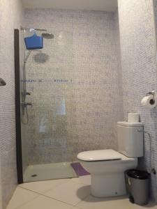 依索安温德公寓的带淋浴、卫生间和盥洗盆的浴室