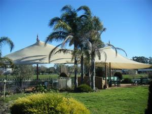 谢珀顿谢珀顿天堂湖汽车旅馆的棕榈树公园里的一个大白伞