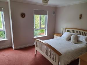 塔洛Wolseley Park guest house的一间卧室设有一张大床和两个窗户。