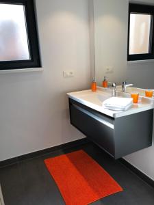 斯特拉斯堡Les Appartements du Renard的一间带水槽和红色地毯的浴室