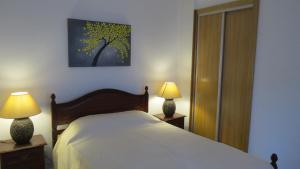 塞亚Solar de Maceira的一间卧室配有一张床,并在床头柜上配有两盏灯