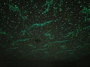 福冈Rapport Kukomae 207的天空中星星的绿色背景