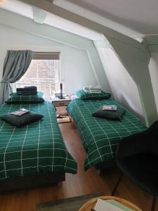 豪达Pension Groeneweg的带窗户的客房内的两张绿色床