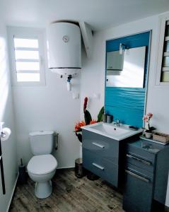 Saint-Gilles-les HautsChalet "BIENVENUE NOUT KAZ"的一间带卫生间、水槽和镜子的浴室