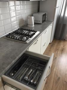 利沃夫Scandinavian apartment的厨房配有炉灶烤箱
