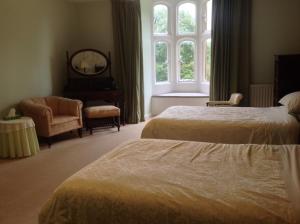 惠灵顿格林汉姆霍尔住宿加早餐旅馆的一间卧室设有两张床、一把椅子和一个窗户。