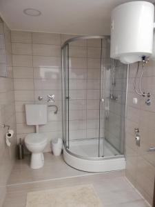茹帕尼亚Apartman Škribulja的一间带卫生间和玻璃淋浴间的浴室
