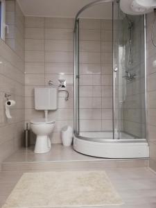 茹帕尼亚Apartman Škribulja的一间带卫生间和玻璃淋浴间的浴室