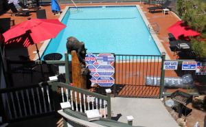 大熊湖Fireside Lodge的阳台享有游泳池的景致。