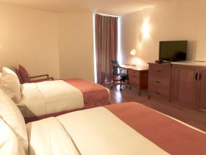 莫尔兹比港莫尔兹比港套房酒店的酒店客房设有两张床和一张书桌及电视