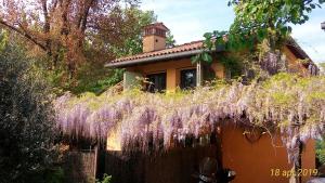 博洛尼亚Fienile FICO Fiera的前面有紫藤植物的房子