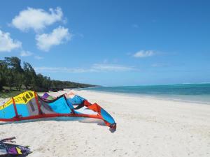Rodrigues Island巴库瓦山林小屋的放风筝在海边的沙滩上