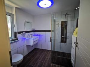 布吕根Ferienhaus Oebel in Brüggen的浴室配有卫生间、盥洗盆和淋浴。