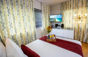 迈阿密海滩海滨全套房酒店的配有一张床和一台平面电视的酒店客房