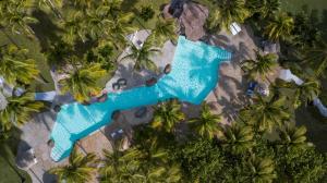 Palm IslandThe Palm Island Resort - All Inclusive的棕榈树游泳池的空中景致