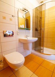 Koziegłowy斯塔利梅林酒店的浴室配有卫生间、盥洗盆和淋浴。