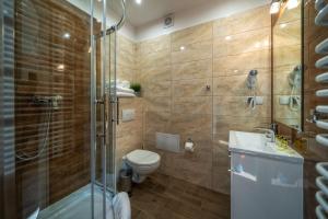 克拉科夫Apartments 17 Szewska的浴室配有卫生间、淋浴和盥洗盆。