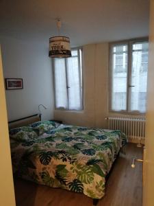 贝桑松Appartement hyper centre ville au calme的一间卧室配有一张带绿色棉被的床和窗户