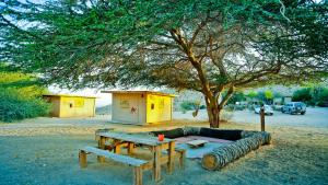 迪莫纳内格夫加美尔牧场旅舍的一张野餐桌和一张树下的沙发