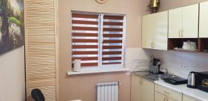 HoraGoraTwins guest house near Boryspil airport的厨房设有窗户和水槽