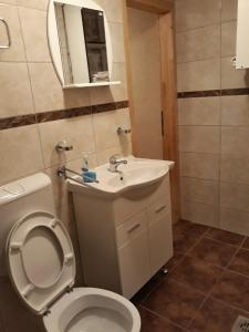 里桑Apartments Lanmari的一间带卫生间、水槽和镜子的浴室