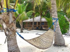罗哈斯Modessa Island的海滩上两棵棕榈树上的吊床