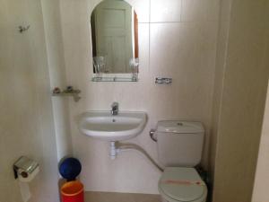 斯莫梁卡捷琳娜家庭旅馆的一间带水槽、卫生间和镜子的浴室