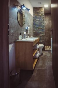 蒂米什瓦拉TimHouse的一间带水槽、卫生间和镜子的浴室